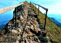 Steiniger Grat-Aufstieg zum Tomlishorn mit Metallgeländer und Alpenpanorama