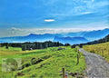Blick von der Fräkmüntegg auf dem Pilatus über Alpenwiesen und Vierwaldstättersee im Sommer