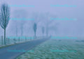 Winterlandschaft mit Nebelstimmung, einsame Strasse und kahle Bäume