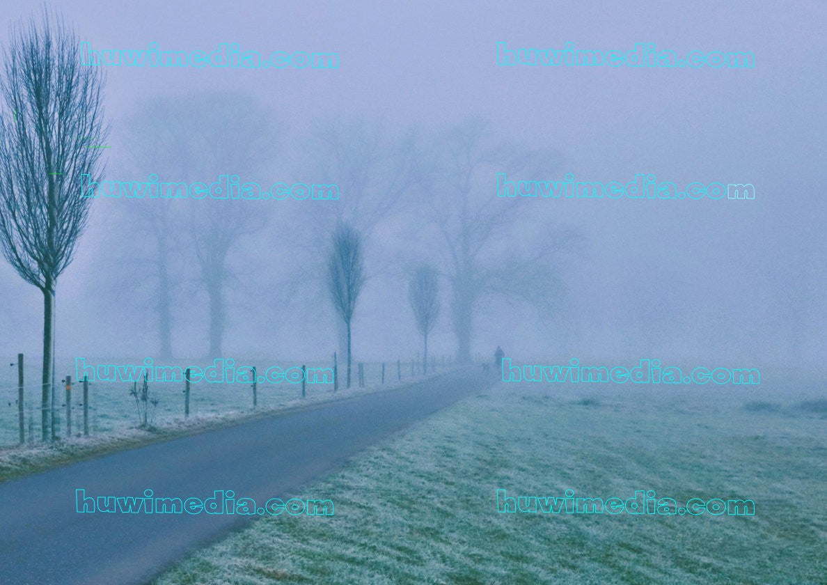 Winterlandschaft mit Nebelstimmung, einsame Strasse und kahle Bäume