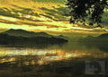 Sanfte Lichter und stille Natur– Digitales Foto