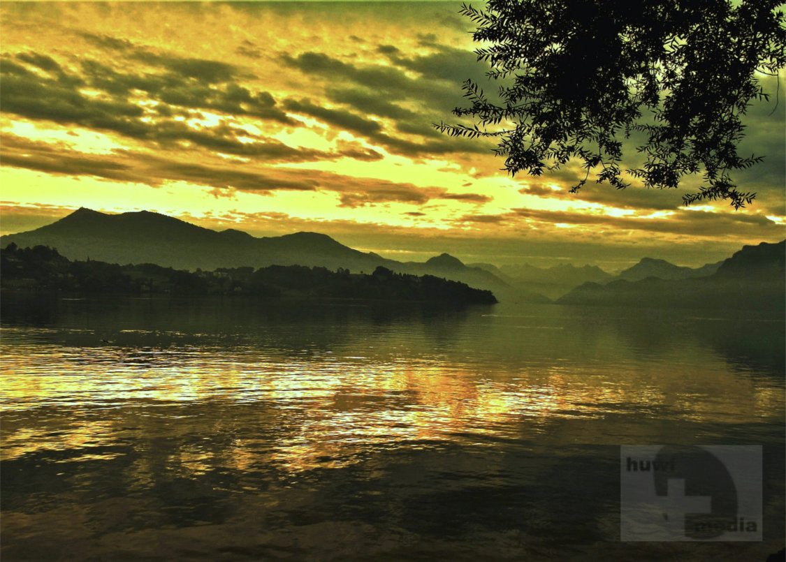 Sanfte Lichter und stille Natur– Digitales Foto