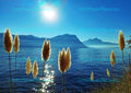 Seelandschaft mit Pampasgras und Bergpanorama, Schweizer See