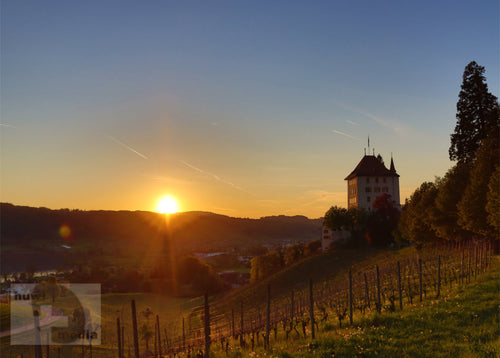 Sonnenuntergang Schloss Heidegg mit Weinberg – goldenes Abendlicht